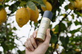 Hand holding a skincare bottle with lemons in the background